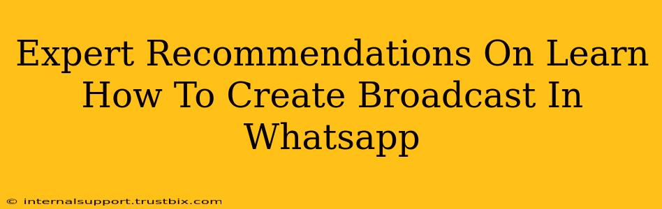 Expert Recommendations On Learn How To Create Broadcast In Whatsapp