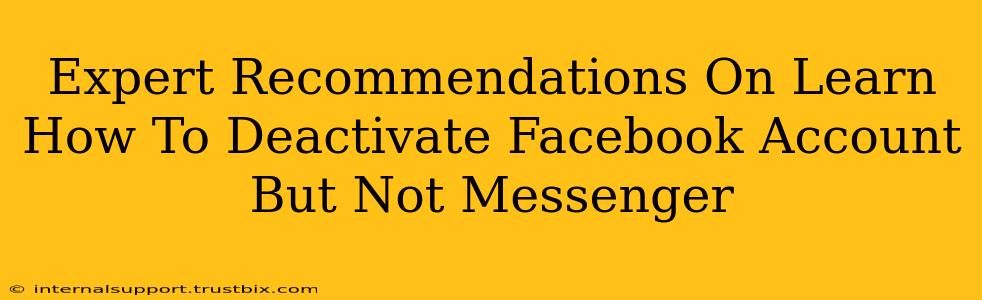 Expert Recommendations On Learn How To Deactivate Facebook Account But Not Messenger