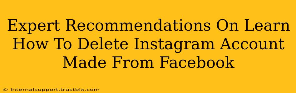 Expert Recommendations On Learn How To Delete Instagram Account Made From Facebook