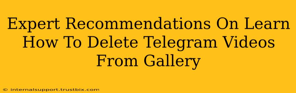 Expert Recommendations On Learn How To Delete Telegram Videos From Gallery