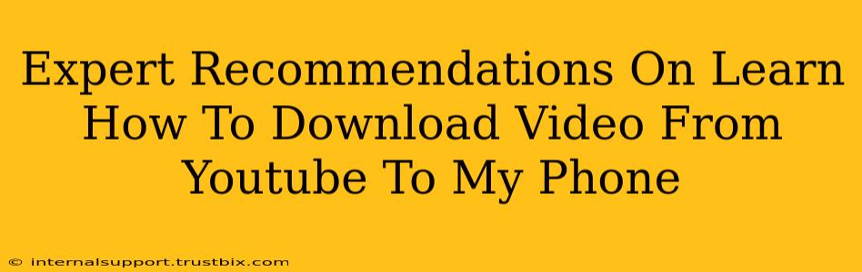 Expert Recommendations On Learn How To Download Video From Youtube To My Phone