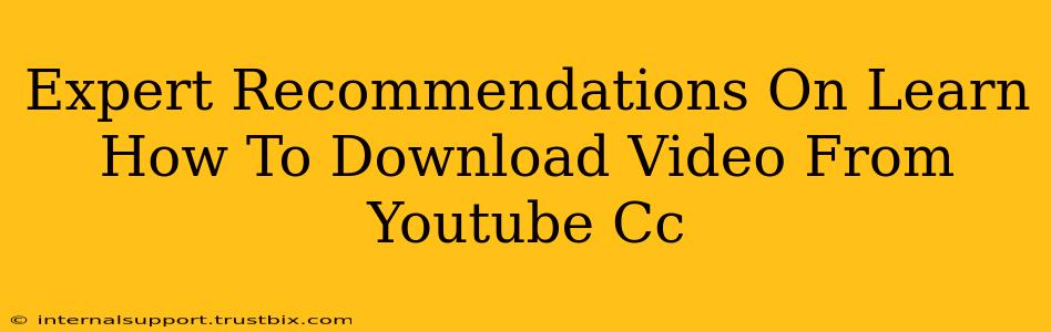 Expert Recommendations On Learn How To Download Video From Youtube Cc