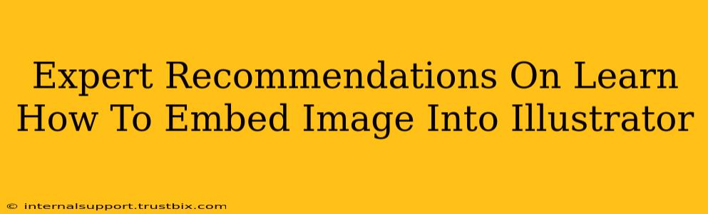 Expert Recommendations On Learn How To Embed Image Into Illustrator