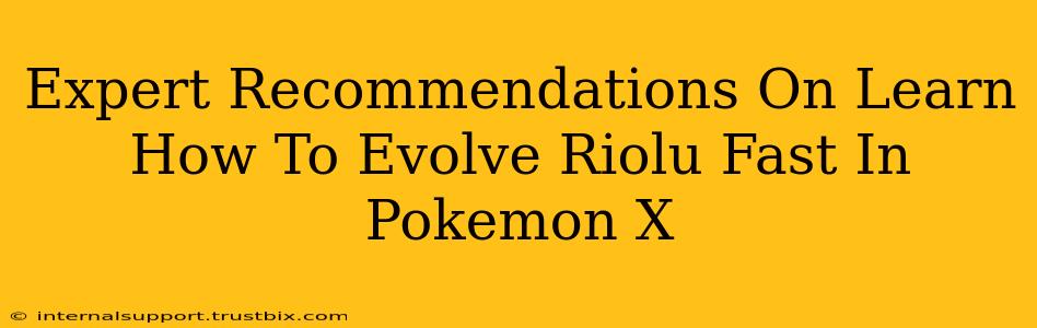 Expert Recommendations On Learn How To Evolve Riolu Fast In Pokemon X