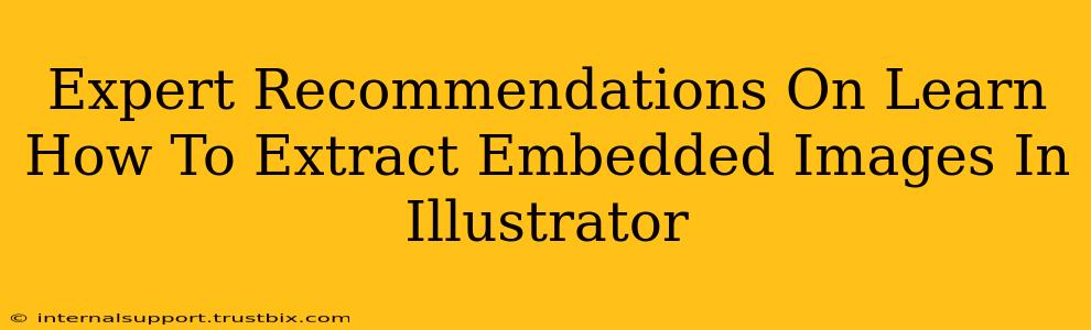 Expert Recommendations On Learn How To Extract Embedded Images In Illustrator