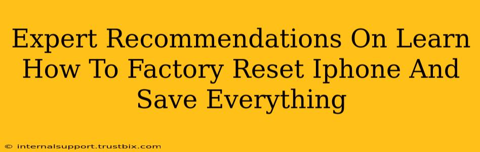 Expert Recommendations On Learn How To Factory Reset Iphone And Save Everything