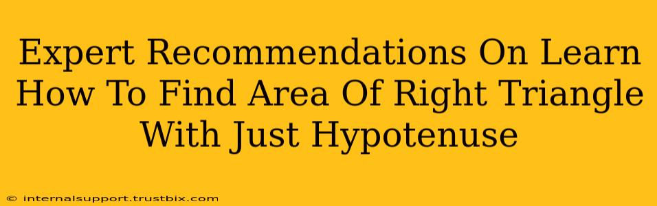 Expert Recommendations On Learn How To Find Area Of Right Triangle With Just Hypotenuse