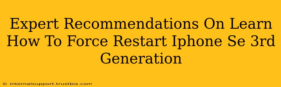 Expert Recommendations On Learn How To Force Restart Iphone Se 3rd Generation