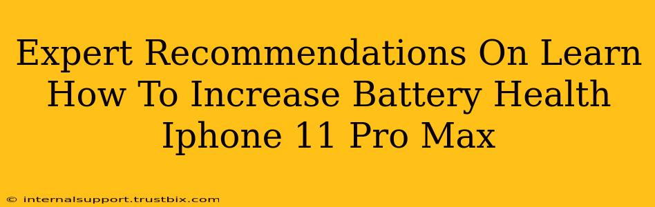 Expert Recommendations On Learn How To Increase Battery Health Iphone 11 Pro Max