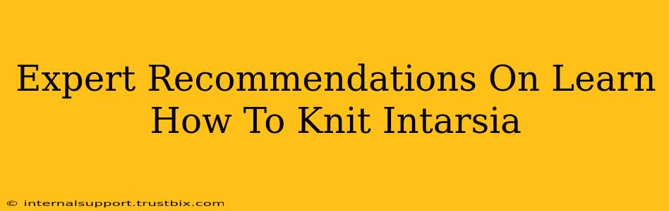 Expert Recommendations On Learn How To Knit Intarsia