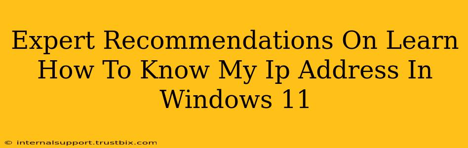 Expert Recommendations On Learn How To Know My Ip Address In Windows 11