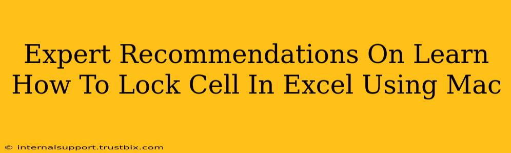 Expert Recommendations On Learn How To Lock Cell In Excel Using Mac