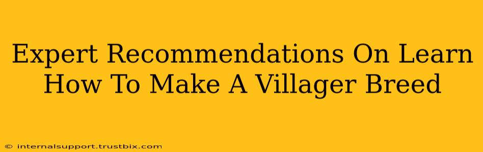 Expert Recommendations On Learn How To Make A Villager Breed