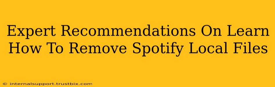 Expert Recommendations On Learn How To Remove Spotify Local Files