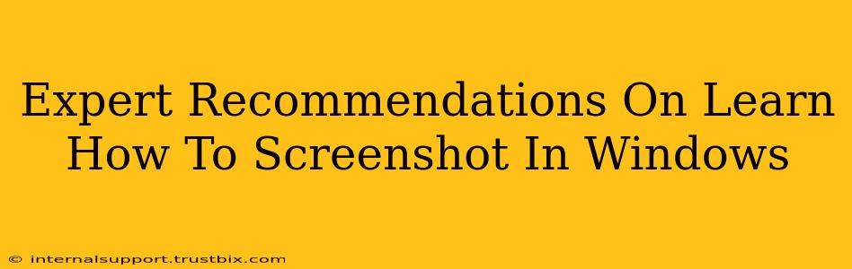 Expert Recommendations On Learn How To Screenshot In Windows