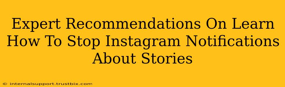 Expert Recommendations On Learn How To Stop Instagram Notifications About Stories