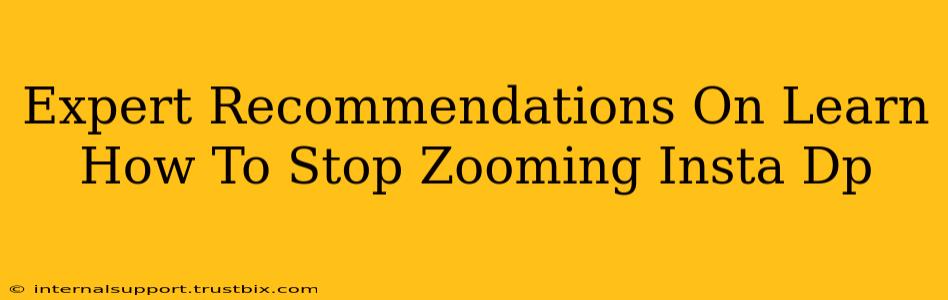 Expert Recommendations On Learn How To Stop Zooming Insta Dp