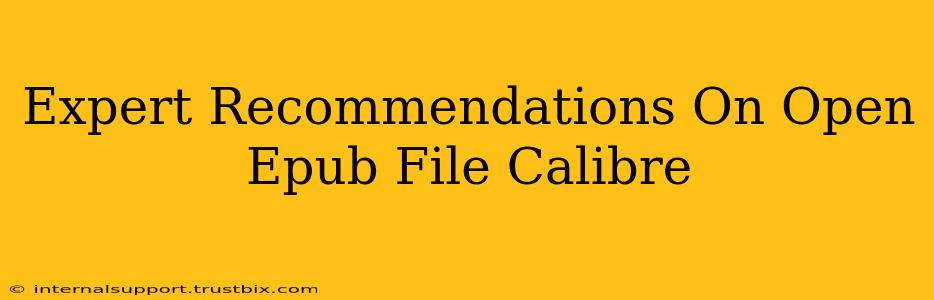 Expert Recommendations On Open Epub File Calibre