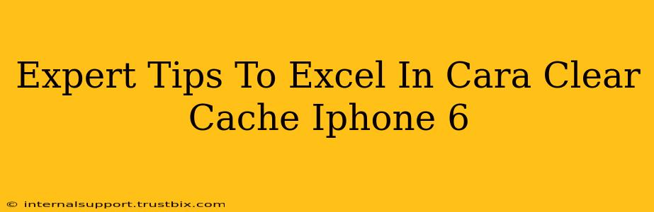 Expert Tips To Excel In Cara Clear Cache Iphone 6