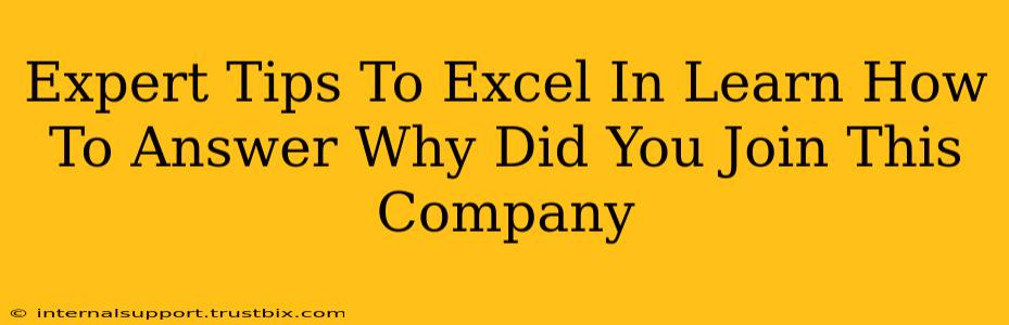 Expert Tips To Excel In Learn How To Answer Why Did You Join This Company