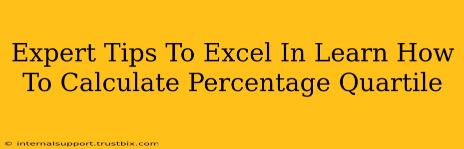 Expert Tips To Excel In Learn How To Calculate Percentage Quartile