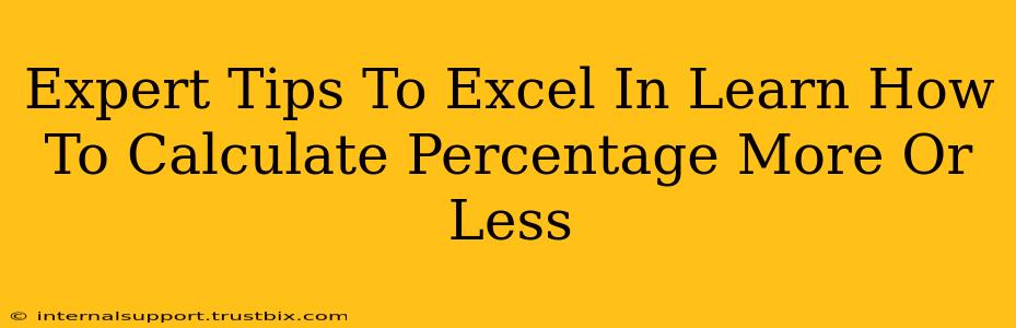 Expert Tips To Excel In Learn How To Calculate Percentage More Or Less