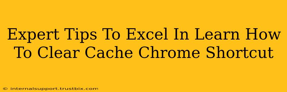 Expert Tips To Excel In Learn How To Clear Cache Chrome Shortcut