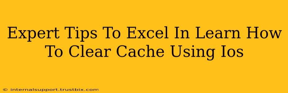 Expert Tips To Excel In Learn How To Clear Cache Using Ios