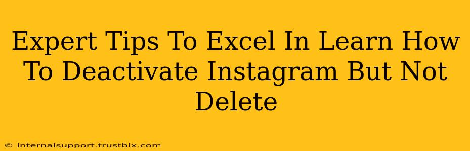 Expert Tips To Excel In Learn How To Deactivate Instagram But Not Delete