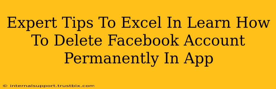 Expert Tips To Excel In Learn How To Delete Facebook Account Permanently In App