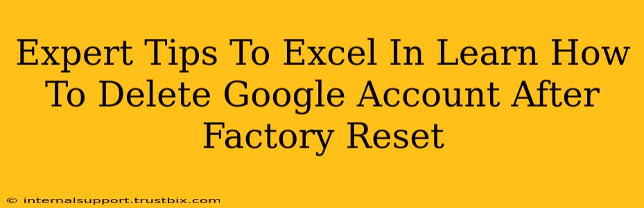 Expert Tips To Excel In Learn How To Delete Google Account After Factory Reset