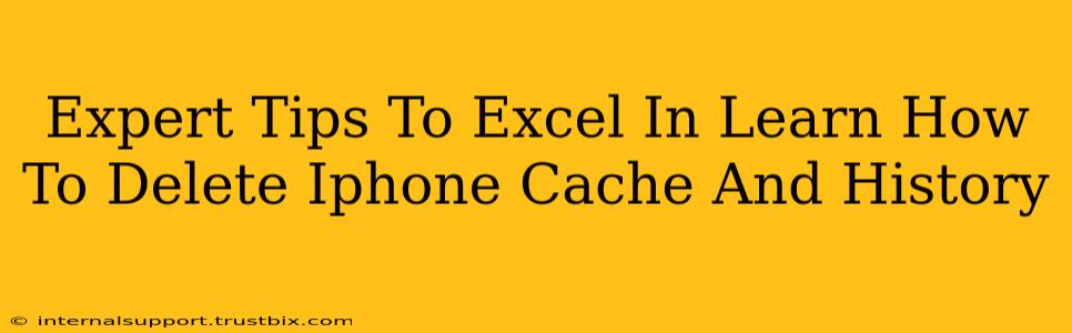 Expert Tips To Excel In Learn How To Delete Iphone Cache And History