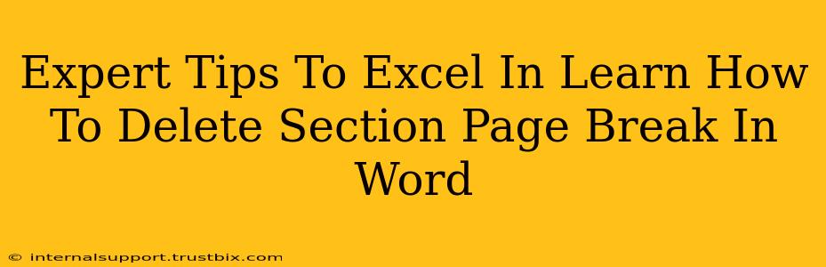 Expert Tips To Excel In Learn How To Delete Section Page Break In Word