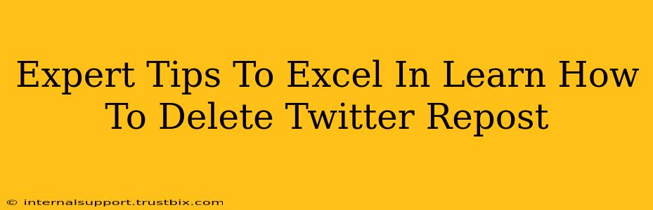 Expert Tips To Excel In Learn How To Delete Twitter Repost