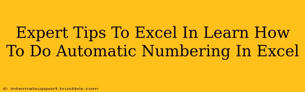 Expert Tips To Excel In Learn How To Do Automatic Numbering In Excel