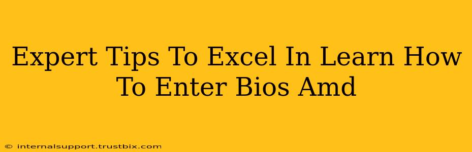 Expert Tips To Excel In Learn How To Enter Bios Amd