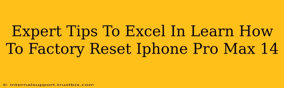 Expert Tips To Excel In Learn How To Factory Reset Iphone Pro Max 14