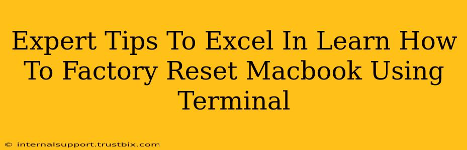 Expert Tips To Excel In Learn How To Factory Reset Macbook Using Terminal