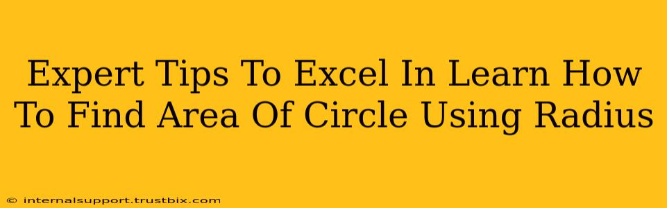 Expert Tips To Excel In Learn How To Find Area Of Circle Using Radius