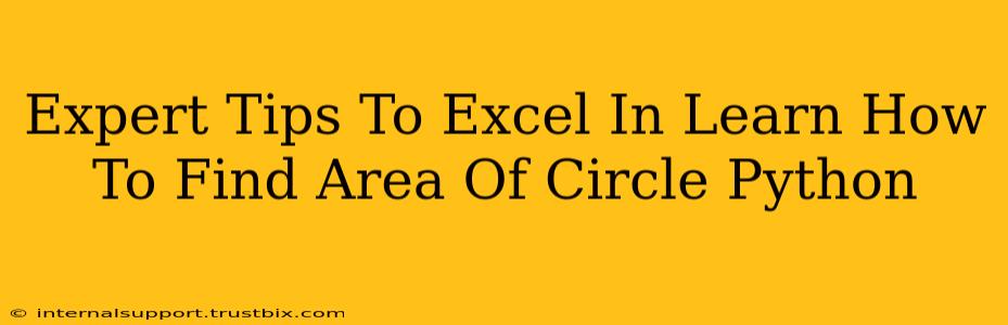 Expert Tips To Excel In Learn How To Find Area Of Circle Python