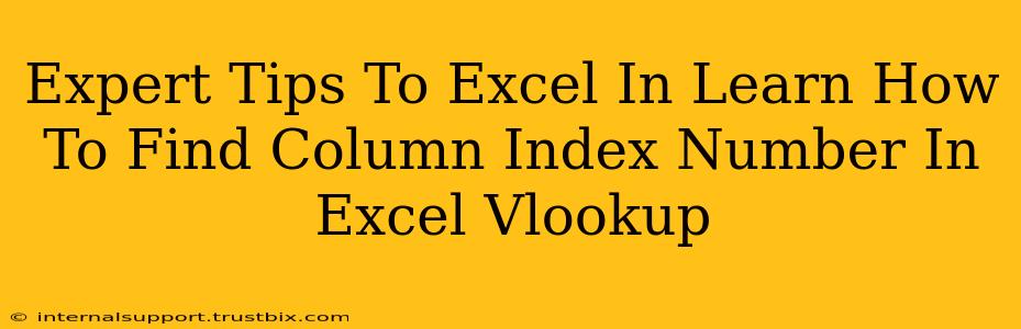 Expert Tips To Excel In Learn How To Find Column Index Number In Excel Vlookup