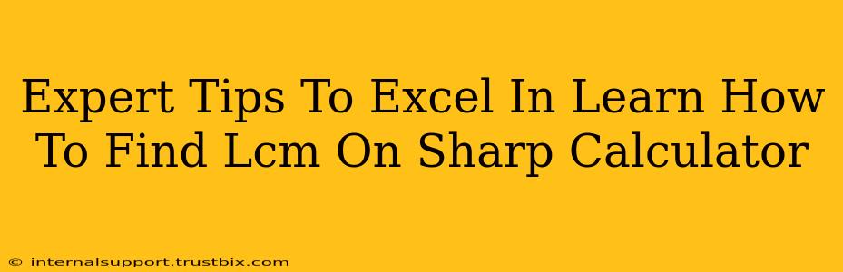 Expert Tips To Excel In Learn How To Find Lcm On Sharp Calculator