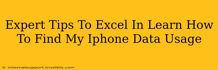 Expert Tips To Excel In Learn How To Find My Iphone Data Usage