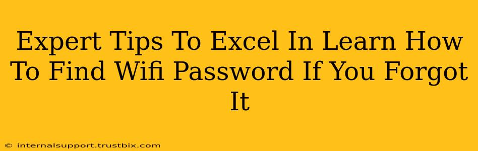 Expert Tips To Excel In Learn How To Find Wifi Password If You Forgot It