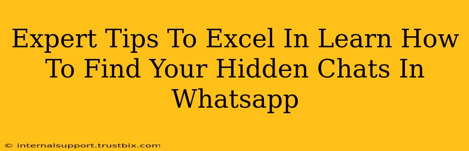 Expert Tips To Excel In Learn How To Find Your Hidden Chats In Whatsapp