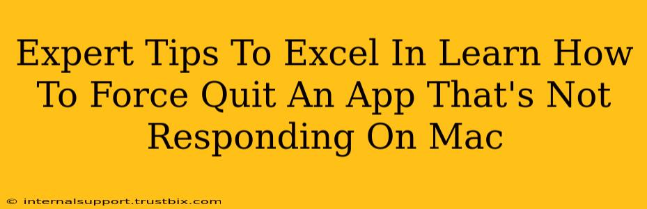 Expert Tips To Excel In Learn How To Force Quit An App That's Not Responding On Mac