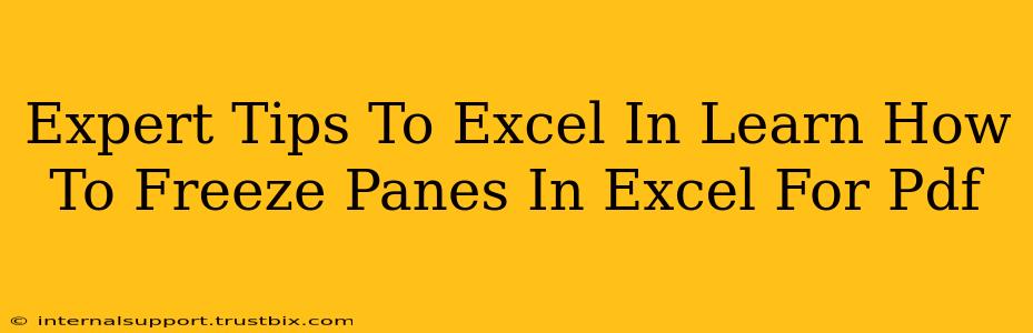 Expert Tips To Excel In Learn How To Freeze Panes In Excel For Pdf