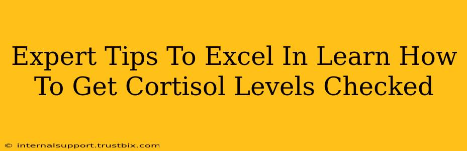 Expert Tips To Excel In Learn How To Get Cortisol Levels Checked