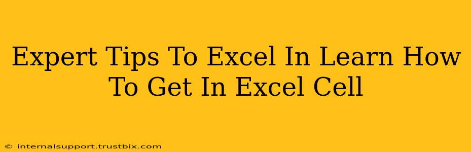 Expert Tips To Excel In Learn How To Get In Excel Cell