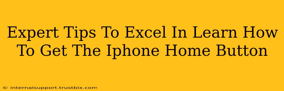 Expert Tips To Excel In Learn How To Get The Iphone Home Button